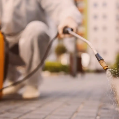 dedetizacao condominios dedetizacao condominios